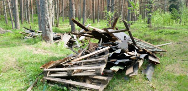 Debris Removal Service in Ormond Beach